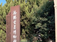 -洛阳古墓博物馆