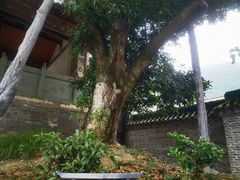 -北五省会馆