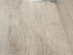 -柳莺湖上·湖景餐厅·江南菜(西湖店)