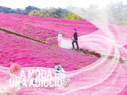 -玛奇朵婚纱摄影