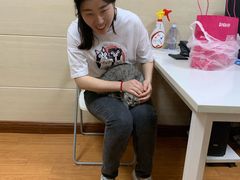 -北京观赏动物医院·24小时大型综合·猫专科·异宠专科