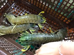 -班赞海鲜市场