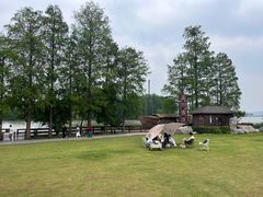 -东湖落雁景区