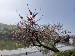 -北山街历史文化街区