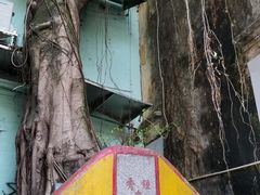-龙环葡韵住宅式博物馆