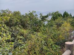 -府君山公园