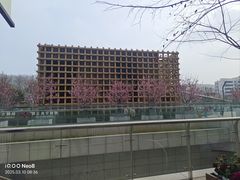 -饭橘汉江码头·乡野土菜馆(静安路店)