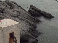 -黑石礁公园