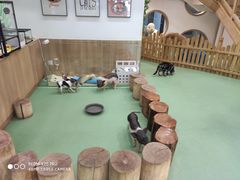 -藦茜花园宠物主题亲子互动体验馆(国顺东路店)
