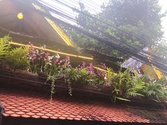 -自然餐厅(Phuket)