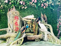 -野象谷景区
