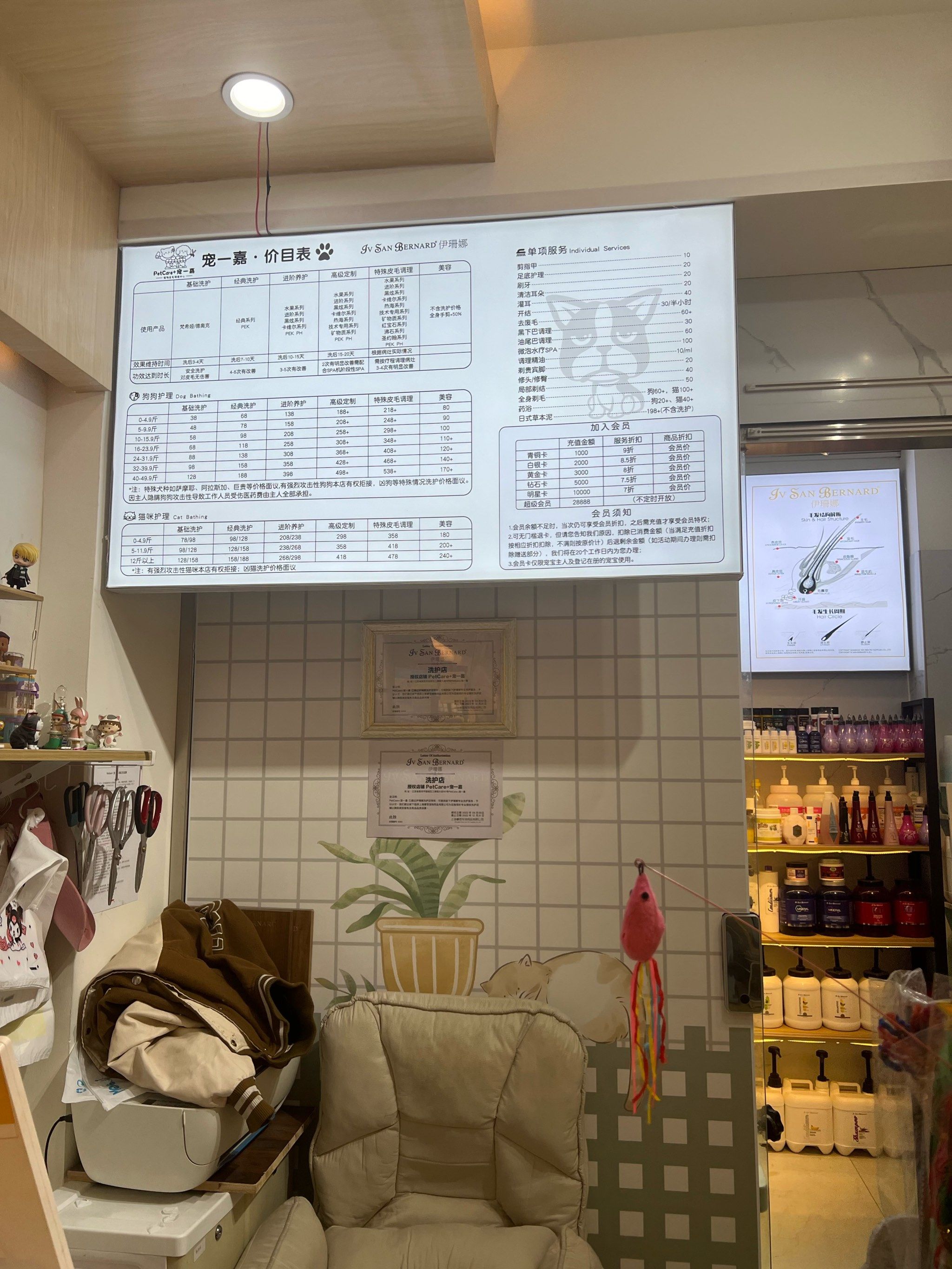 0元玩转这座城打电话和老板预约才得知这家宠物店营业到十一点,真是