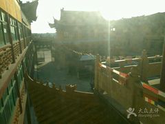 -南汇水蜜桃采摘(大团店)