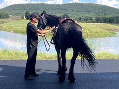 -塞罕坝国家级自然保护区