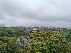 -中国翰园碑林