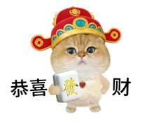 -桂满陇·蟹黄小笼汤包(环球港店)