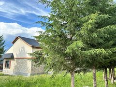 -喀纳斯鸿福生态度假酒店