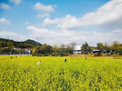 -红山村