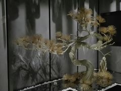 -桐爷小馆(广渠门店)