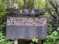 -峡谷浮石林景区