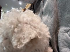 -宠颐生斯嘉宠物医院·急重症·心内科(谷阳北路分院)
