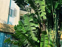 -三亚海棠湾万丽度假酒店