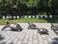 -广东惠东海龟国家级自然保护区
