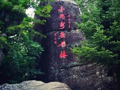 -汤旺河林海奇石景区