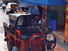 -老字号怡玺·藿香雅鱼(20年雅安店)