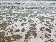 -西涌国际滨海旅游区