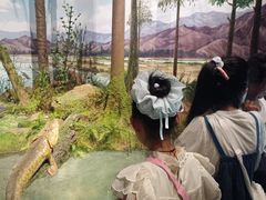 -国家自然博物馆