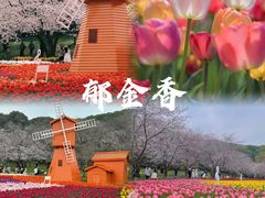 -苏州上方山国家森林公园