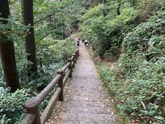 -藏龙百瀑风景区