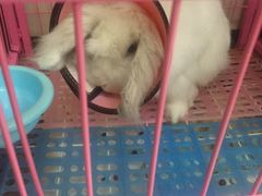 -美迦爱-牙专科·兔科·骨科诊疗中心(北苑店)