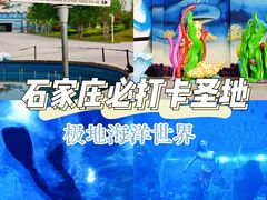 -石家庄极地海洋世界