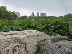 -太阳宫公园