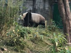 -武汉动物园