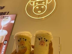 -一只酸奶牛(八一路店)