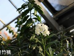 -国家植物园
