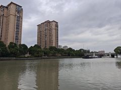 -陈家山荷花公园