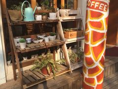 长颈鹿咖啡-长颈鹿咖啡(大学路店)
