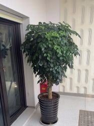 -魔型社烫染店
