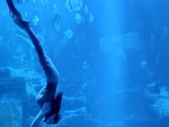 -太平洋海底世界