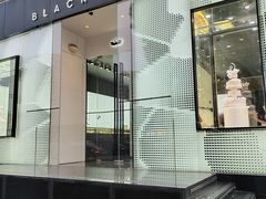 -BLACKSWAN黑天鹅(环球店)