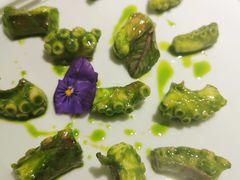 芥末青酱八爪鱼-CHIC1699远洋私厨