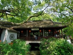 -上海醉白池公园