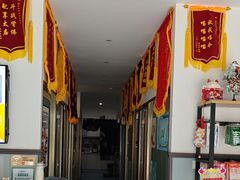 -伟伟宠物医院·瑞派猫友好医院·猫科(光谷店)