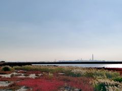 -天津妈祖文化园