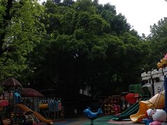 -晓港公园