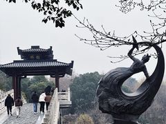 -东湖落雁景区